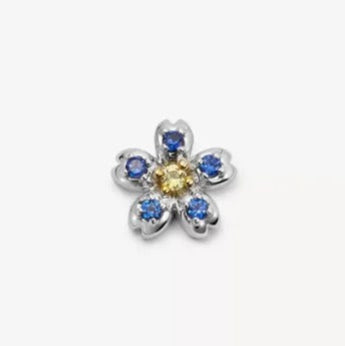 Blue Blossom